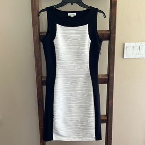 Calvin Klein White and Black Dress